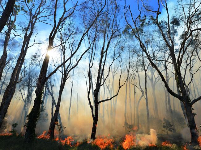 The Forestry Corporation will conduct hazard reduction burning in coming days.