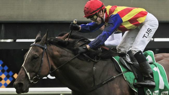 Eleven Eleven has been a firmer in Race 7 at Randwick. Picture: Getty Images