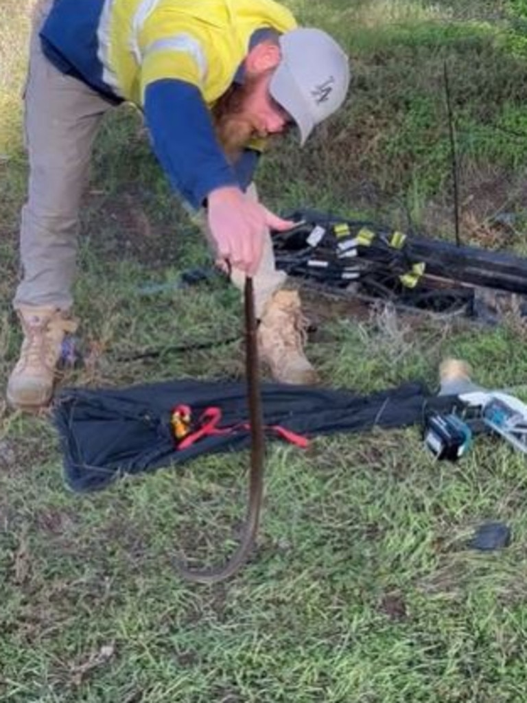 Barossa Reptile Service – Snake Catcher. Picture: Facebook