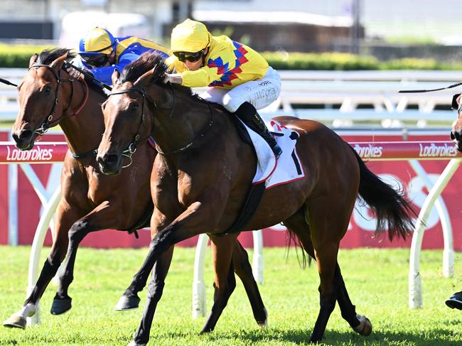 Freedom Rally scores the Listed Wayne Wilson at Eagle Farm for trainer Tony Gollan and jockey James McDonald. Pictures: Grant Peters, Trackside Photography.