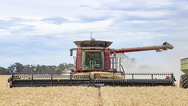 Croppers are confident of another profitable season after soil moisture levels were replenished with some big summer rains. Picture: Zoe Phillips