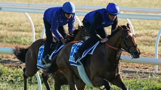 Ispolini and Cross Counter have thrived at Werribee. Picture: AAP