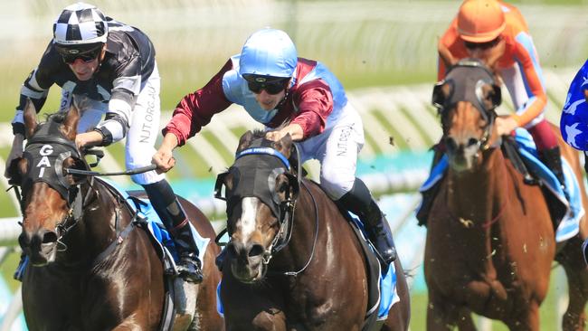 Laure Me In has trialled impressively ahead of Saturday’s Summer Cup at Royal Randwick. Picture: Mark Evans/Getty Images