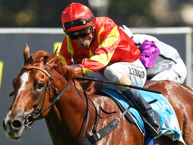 Jockey Robbie Fradd rides Wisdom Of Water to victory in race 4, the Gold Nugget 2YO Colts & Geldings, during Metro Races at Gold Coast Turf Club on the Gold Coast, Saturday, January 4, 2020. (AAP Image/Albert Perez) NO ARCHIVING, EDITORIAL USE ONLY