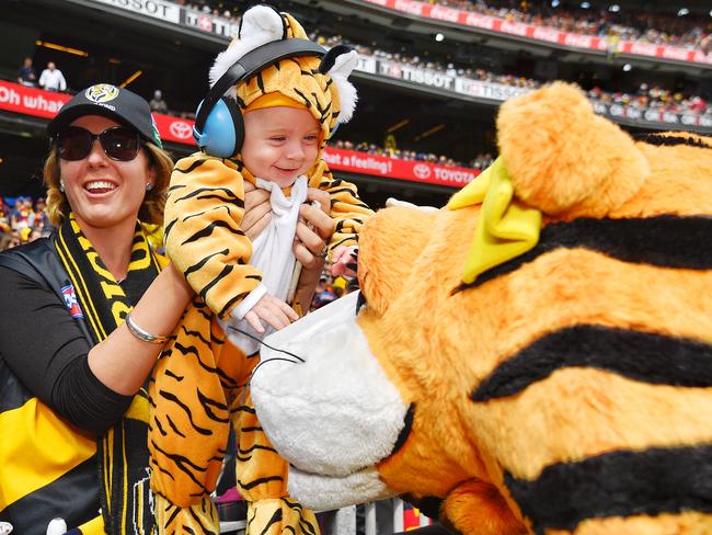 Little tiger Owen meets a big tiger. Picture: Jason Edwards