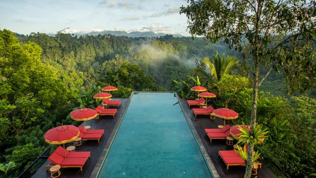 Buahan Banyan Tree in Bali.