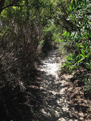 Sydney’s eastern suburbs coastal walk to grow with new connection ...