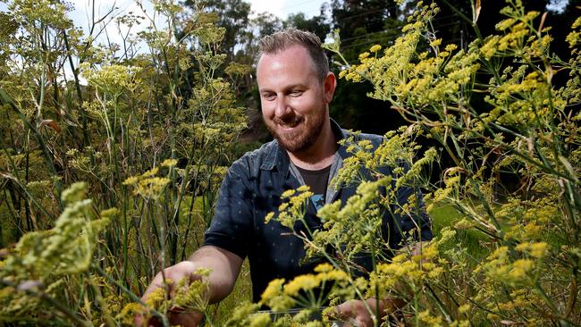 Chef Shane Wilson forages for his ingredients. Pic: Calum Robertson