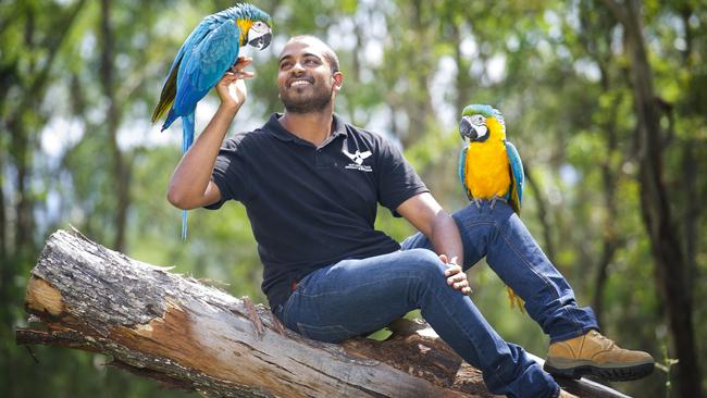 Ravi Wasan, 27, with the two colourful birds. Picture: MELVYN KNIPE