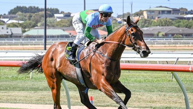 Tuvalu is a short favourite in the last at Caulfield after thumping the opposition at Warrnambool last start. Picture: Racing Photos via Getty Images