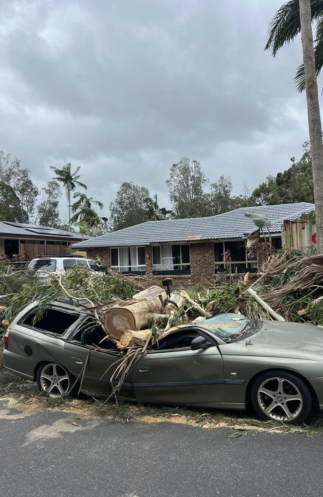 Cylone Alfred, a car flattened by a tree in Ocean Shores Northern NSW today