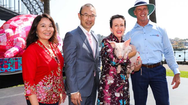 Dawes Point, Sydney - 29th January 2019. Sydney Lunar Festival Media Call. Group photograph with Lord Mayor Clover Moore, Councillor Robert Kok, Surf Life Saving NSW CEO Steven Pearce and Sydney Lunar Festival Curator Valerie Khoo.