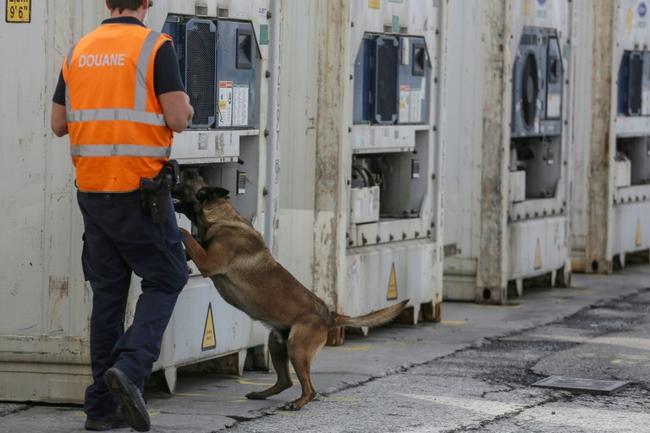 Belgium's giant port of Antwerp has become a major entry for cocaine being smuggled into Europe