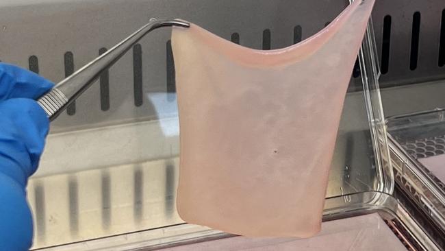 The artifical tissue mimics the top crucial layers of skin and comes after years of work at The Alfred and Monash University. Picture: supplied