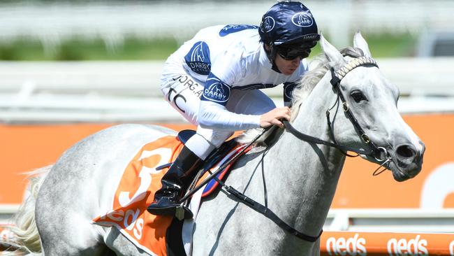 Greysful Glamour will be hard to run down in the Gosford Gold Cup. Picture: AAP