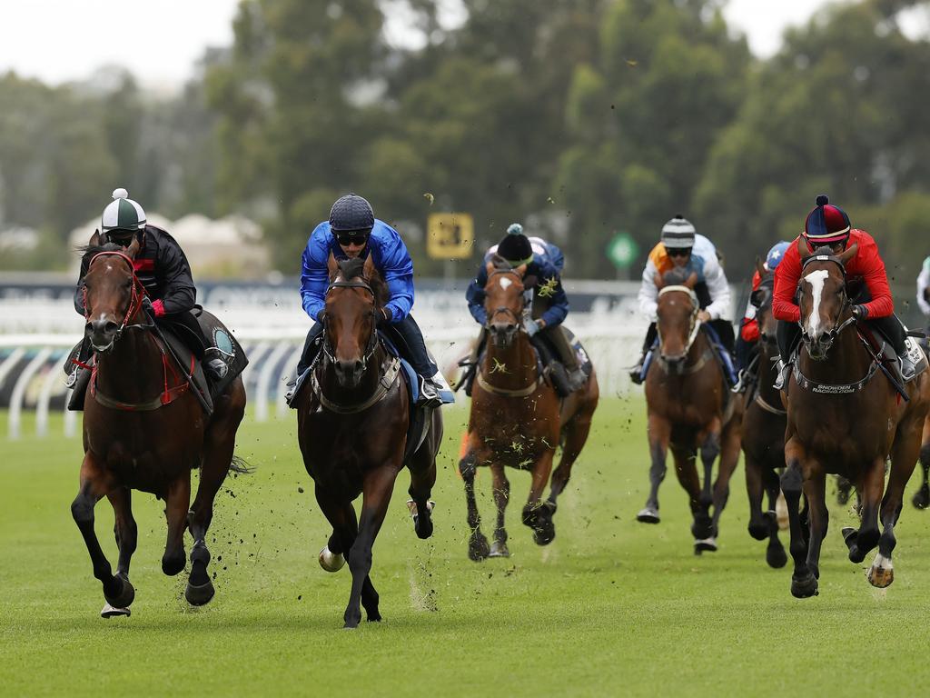 A keen racing fan, he owned three thoroughbreds, including two geldings and an Irish mare.