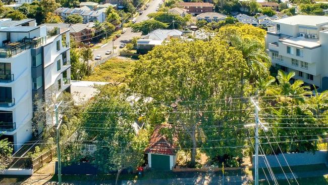 Behind the trees and sandwiched by multimillion-dollar apartment developments is 130 Swann Road, Taringa, which is being put to auction by its mortgagee.