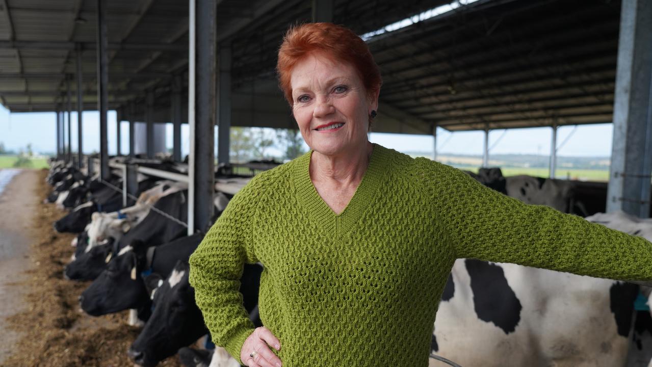 Senator Pauline Hanson at a dairy farm in Singleton while campaigning this week. Picture: Sean Bell