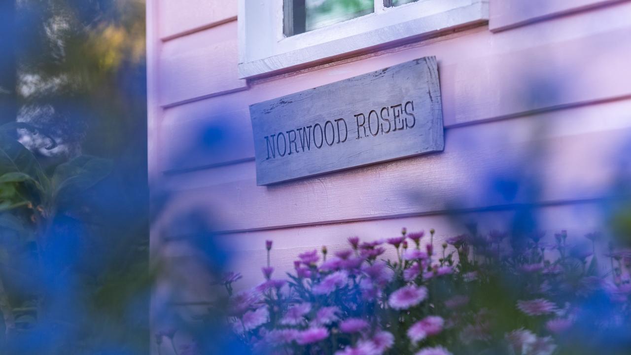 Norwood Roses, Caitlyn Mason and Sam Clothier, Norwood St, Garden for Good 2020, Carnival of Flowers 2020, Tuesday, September 15, 2020. Picture: Kevin Farmer