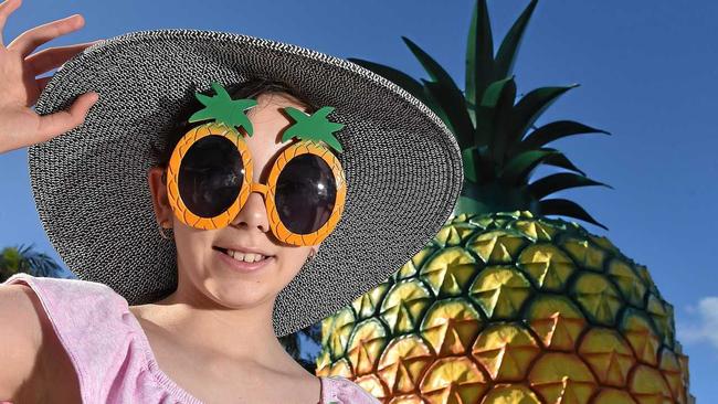 MAJOR BOOST: The $116 million Big Pineapple expansion project is set to bring the tourist attraction's popularity back to levels not experienced since the '80s and '90s. Rosie Campanaris, 11, on school holiday from Canberra. Picture: Warren Lynam
