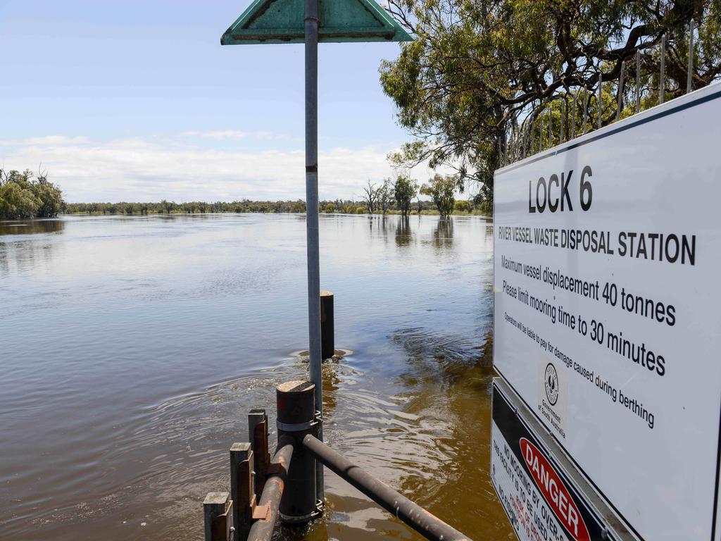 Fast flowing Murray at Lock 6 at Paringa on November 19. Picture: Brenton Edwards