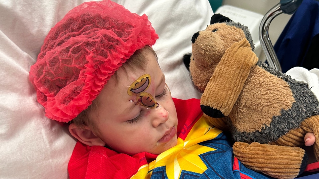 ‘Our boy was bitten by our dog, and it could happen to anyone’