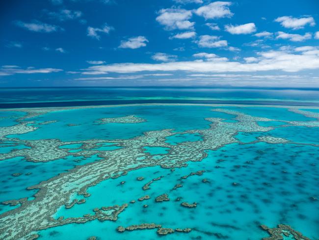 Two workshops provide the opportunity for children and adults to learn about the Great Barrier Reef.