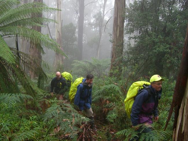 Bushwalkers during the search and rescue effort to trace Warren Meyer.