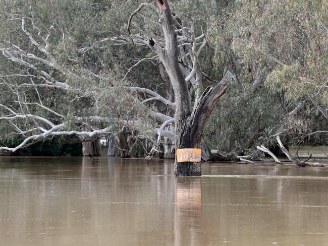 Flooded properties in Everton, between Wangaratta and Myrtleford. Picture: Alex Coppel.