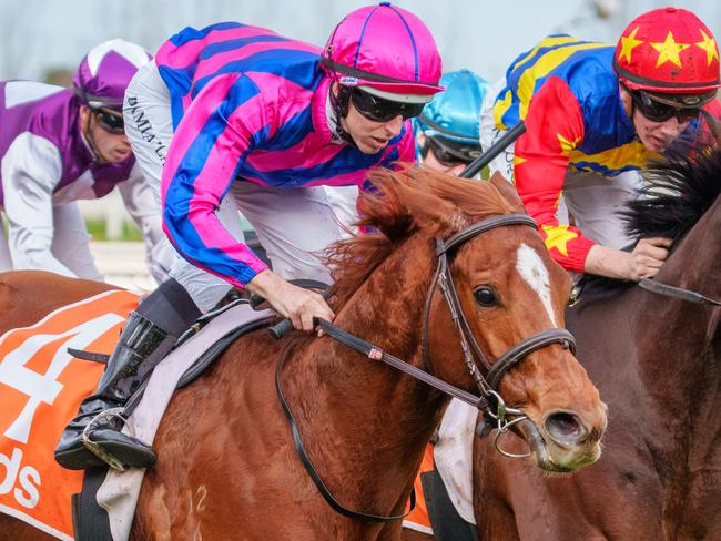 Absolute Flirt ridden by Damian Lane wins the Neds Bet Back Handicap  at Caulfield Racecourse on June 26, 2021 in Caulfield, Australia. (Jay Town/Racing Photos via Getty Images)