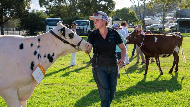 Anna-Lee Northfield competed with Majuba Sidekick Sonia. Heritage Bank Toowoomba Royal Show. Thursday April 18th, 2024 Picture: Bev Lacey