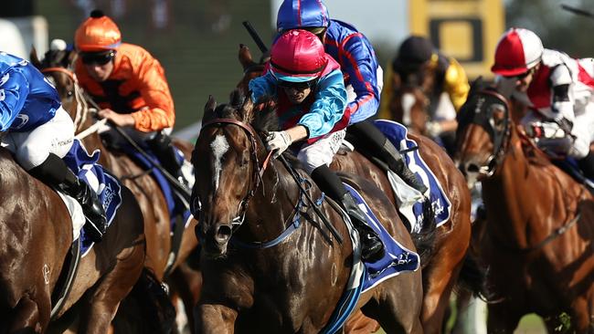 KEMBLA GRANGE, AUSTRALIA - NOVEMBER 23: Blake Spriggs riding Headwall wins Race 9 Snap Print Solutions Wollongong The Warra during 
