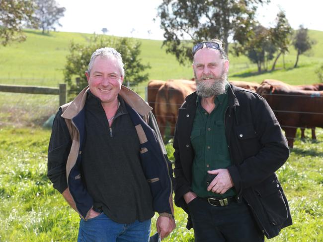 Tony Mitchell and Steve Phelan from Flowerdale at the Paringa spring bull sale. Picture: Andy Rogers