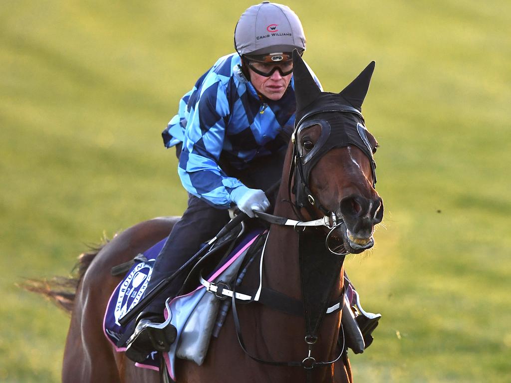 Craig Williams rides Youngstar during trackwork last week.