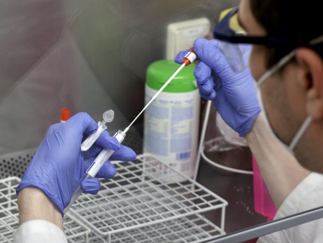 FLENSBURG, GERMANY - FEBRUARY 22: A lab technician is working on smears for PCR tests for Covid-19 during the coronavirus pandemic on February 22, 2021 in the Labor Dr. Krause & Kollegen laboratory in Kiel, Germany. The B117 variant of the novel coronavirus is now accounting for the vast majority of new infections in Flensburg, leading city authorities to launch a nighttime curfew and sharpen other lockdown measures. Meanwhile Denmark has closed a number of its smaller border crossings to Germany in an effort to stem the spread of the B117 variant. (Photo by Morris MacMatzen/Getty Images)