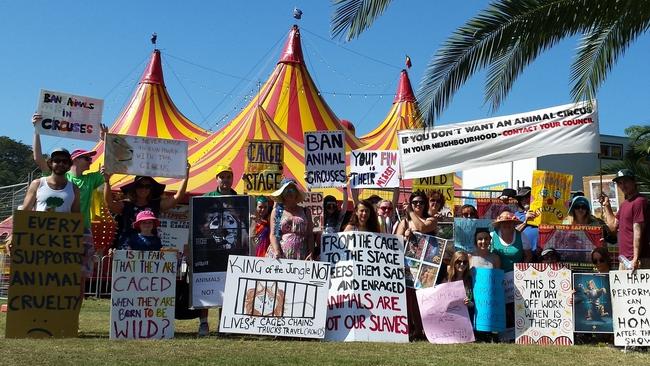 A recent protest outside Stardust Circus in Gosford. This site is becoming increasingly familiar.