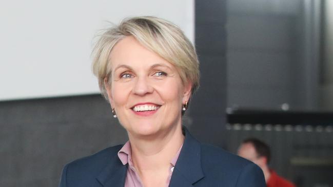 Environment Minister Tanya Plibersek. Picture: Nikki Davis-Jones