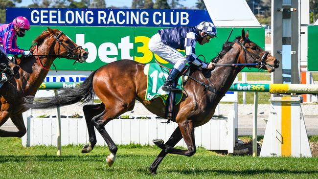 Young Werther has resumed work to prepare for the Group 1 Australian Derby in the autumn. Picture: Racing Photos