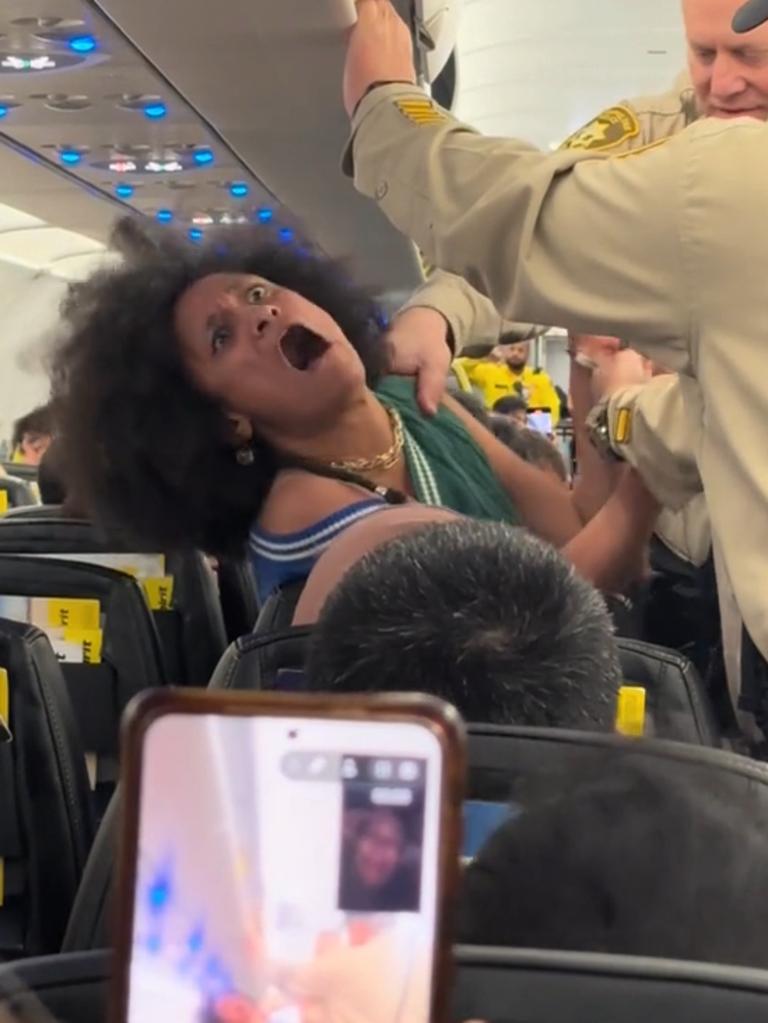 The unidentified woman bellowed and contorted her way through the arrest. TikTok /realkingjon