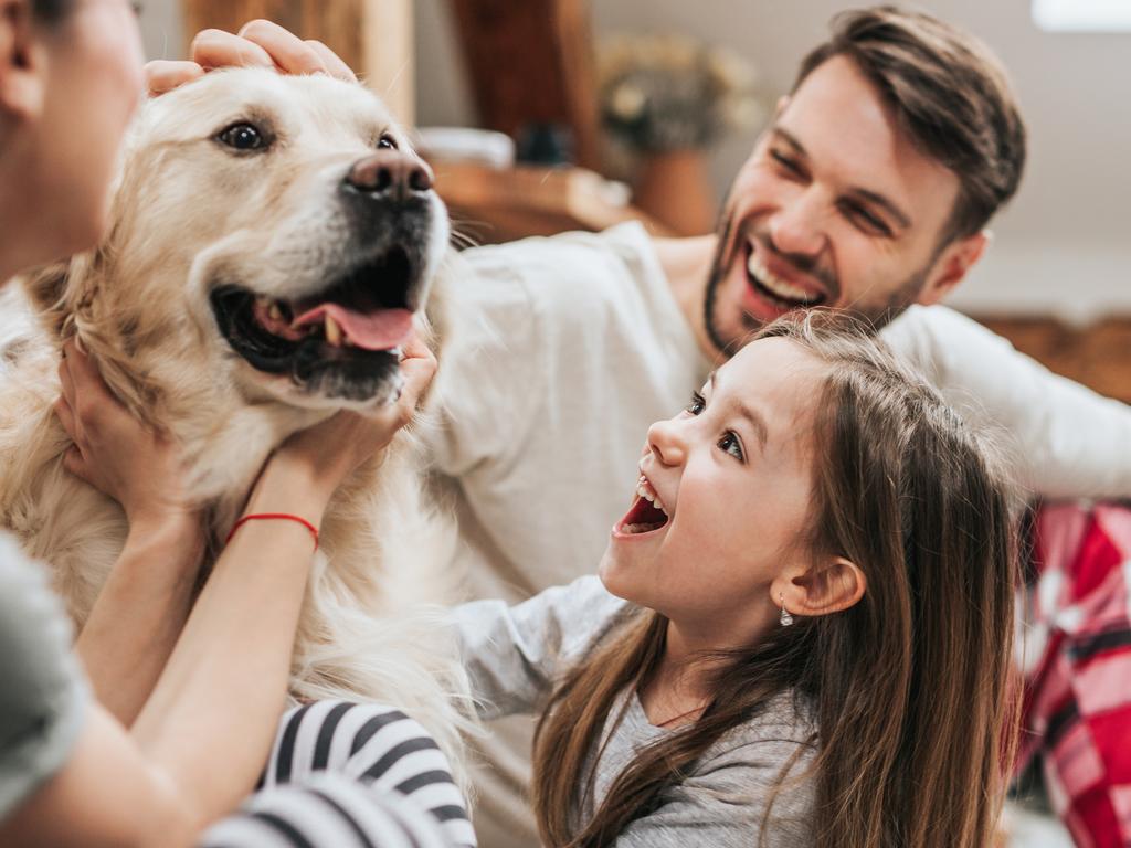 Pets make for a well rounded child.