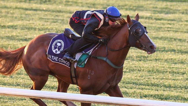 Craig Williams will partner In the Congo in the Coolmore Stud Stakes. Picture: Michael Klein