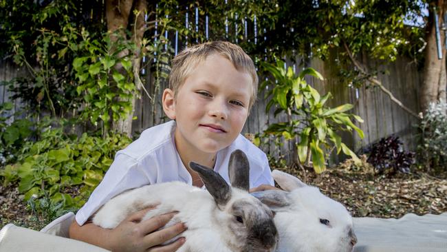 Jett Treloar, 8, with rabbits Chopper and Milly. Picture: Jerad Williams