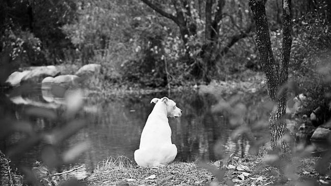 Picture: Sarahbethphotography.com