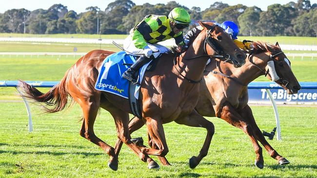 Luna Cat and jockey Luke Currie will resume their partnership at Flemington on Saturday. Picture: Racing Photos via Getty Images.