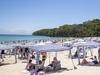 Avalon scores sunny new destination