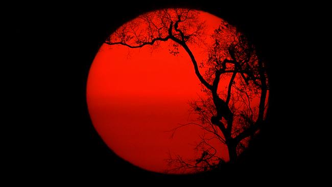 The sun sets behind burnt trees of the Amazon rainforest, south of Porto Velho on August 27, 2019. - Brazil will accept foreign aid to help fight fires in the Amazon rainforest on the condition that the Latin American country controls the money, the president's spokesman said Tuesday. (Photo by CARL DE SOUZA / AFP)