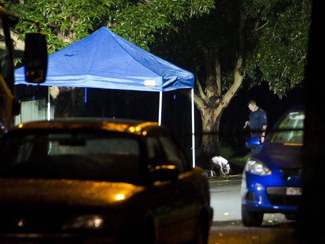 A police ballistics dog sniffs around the area the man was found. Picture: Chris McKeen