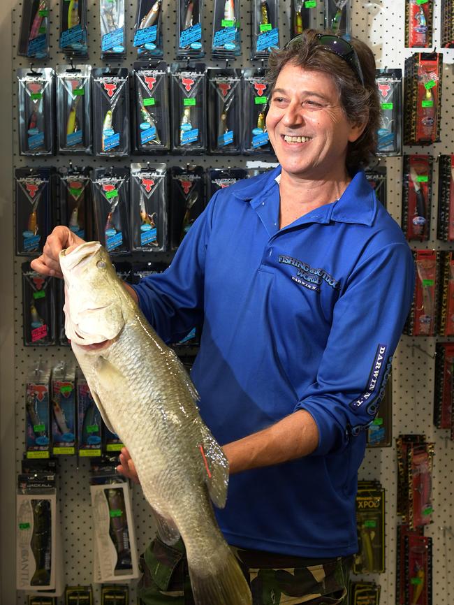 George Voukalos from Darwin's Fishing and Outdoor World with the first Million Dollar barra he caught only 5 days into the 2017 competition. Picture: JUSTIN KENNEDY