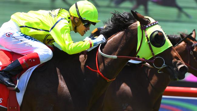 Yogi won the 2018 Sandown Cup for Darren Weir. Picture: Getty Images