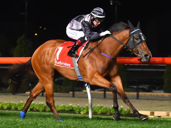 MELBOURNE, AUSTRALIA - SEPTEMBER 29:  Jeff Lloyd riding Houtzen wins Race 3 , Scarborough Stakes during Melbourne Racing at Moonee Valley Racecourse on September 29, 2017 in Melbourne, Australia.  (Photo by Vince Caligiuri/Getty Images)